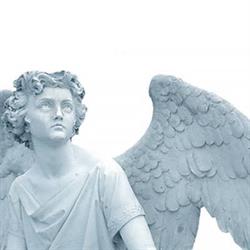 Comunita' Don Luigi Coop.sociale Dell'aravecchia R.l., Vercelli orari di apertura