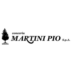 Conceria Martini Pio Spa, Castelfranco di Sotto orari di apertura