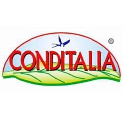 Conditalia Spa, Nocera Superiore orari di apertura