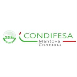 Codima, Mantova orari di apertura