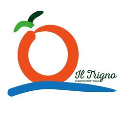 Coop. Euro Ortofrutticola Del Trigno, San Salvo orari di apertura