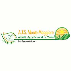 A.T.S. Monte Maggiore, Orsara di Puglia orari di apertura