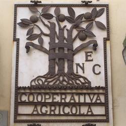 Coop.agr.di Consumo, Scarperia orari di apertura