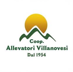 Coop. Allevatori Villanovesi, Villanova Monteleone orari di apertura