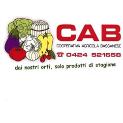 CAB Cooperativa Agricola Bassanese, Bassano del Grappa orari di apertura