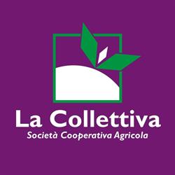 Cooperativa Agricola La Collettiva, Samassi orari di apertura