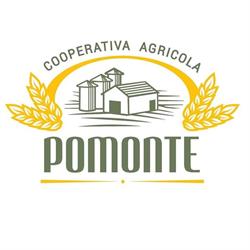 Cooperativa Agricola Pomonte SRL, Scansano orari di apertura