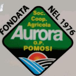 Società Cooperativa Agricola Aurora O.P., Pachino orari di apertura