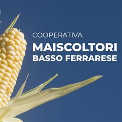 Cooperativa Maiscoltori Basso Ferrarese SRL, Pontelangorino orari di apertura