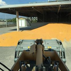 Cooperativa Morenica Cereali, Fagagna orari di apertura