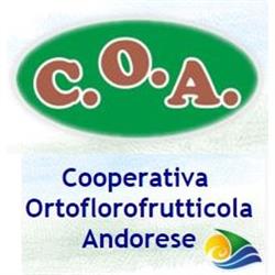 Cooperativa Ortoflorofrutticola Andorese, Andora orari di apertura