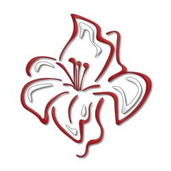 Cooperativa Sociale Il Giglio R.L., Porcia orari di apertura