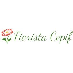 Copif Piante e Fiori, Forlì orari di apertura