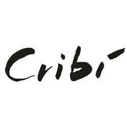 Cribi' SRL, Torino orari di apertura