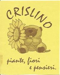 Crislino Fiori Piante e Pensieri, Torino orari di apertura