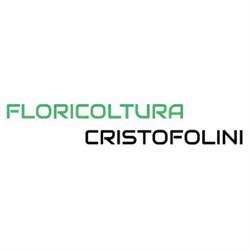 Cristofolini Guido Vivaio, Castelverde orari di apertura