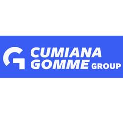 Cumiana Gomme Group orari di apertura