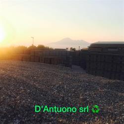 D'Antuono Giuseppe, Angri orari di apertura
