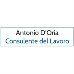 Antonio D'Oria Consulente del Lavoro, Sava orari di apertura