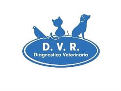D.v.r. Diagnostica SRL, Roma orari di apertura