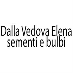Dalla Vedova Elena, Verona orari di apertura