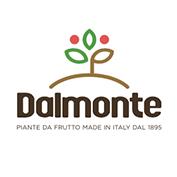 Dalmonte Guido e Vittorio, Brisighella orari di apertura