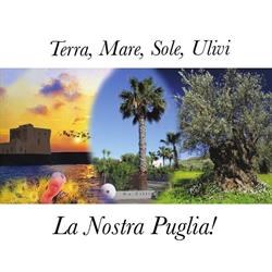 De Cillis SRL, San Vito dei Normanni orari di apertura