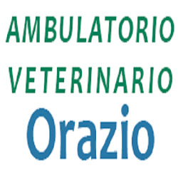Ambulatorio Veterinario Orazio Napoli, Chiaia - Orari di apertura