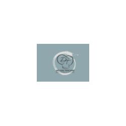 Gastronomia Delizie Toscane, Prato orari di apertura