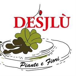 Desjlù Piante e Fiori, Calderara di Reno orari di apertura