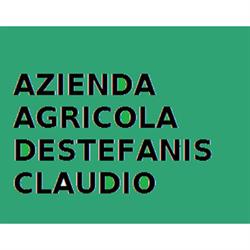 Azienda Agricola Destefanis Claudio di Destefanis Anna, Cossato orari di apertura