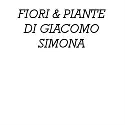 Fiori & Piante di Giacomo Simona, Bruna orari di apertura