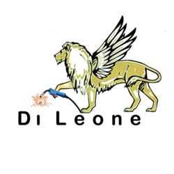 Di Leone di Gionni Sas, Vigasio orari di apertura