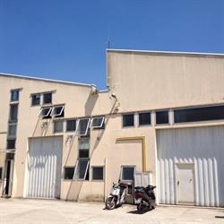 Digisistem S.a.s Di Roberto Moscardini & C., San Giovanni in Persiceto orari di apertura