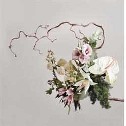 Ditelo Coi Fiori Di Carmelo Gallo e Antonella Nicosia, Catania orari di apertura