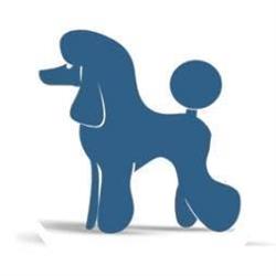 Dog by dog, Genova orari di apertura