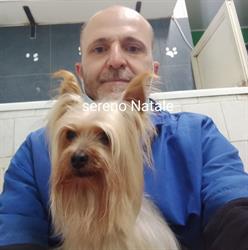Dogs Beauty Center, San Sebastiano al Vesuvio orari di apertura