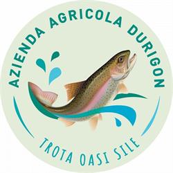 TROTA OASI SILE di Emanuele Durigon - Allevamento di trote e lavorazione pesce a S. Cristina, Quinto di Treviso orari di apertura