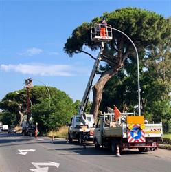 Elettrica Amati, Ardea orari di apertura