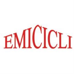 Emicicli di Cecchetti Davide, Cecina orari di apertura