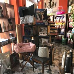 Emporio Di Noe' SRL, Gallarate orari di apertura