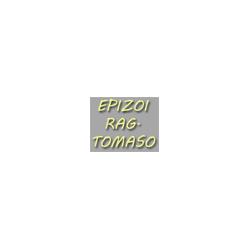 Epizoi Rag. Tomaso - Private Banker - Banca Fideuram, Cologno al Serio orari di apertura