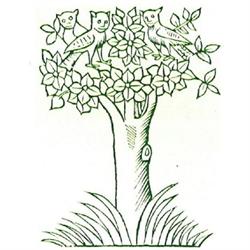 Erboristeria Bellandi Dr.Ssa Camilla, Ospitaletto orari di apertura