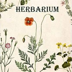 Erboristeria Herbarium, Città di Castello orari di apertura