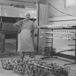 Eros Talamini & C. - Panificio (S.n.c.), Cordignano orari di apertura