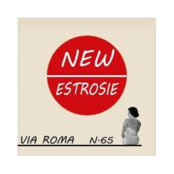 Estrosie Parrucchieri S.n.c Di Melani Massimo & C., Prato orari di apertura