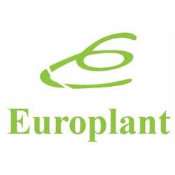 Europlant Vivaio Piante, Roma orari di apertura