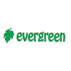 Evergreen, Novara orari di apertura