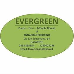 Evergreen Di A. Ferrocino, Galatone orari di apertura