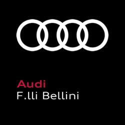 F.LLI BELLINI Volkswagen Vendita e Service - Audi Vendita e Service, Villongo orari di apertura